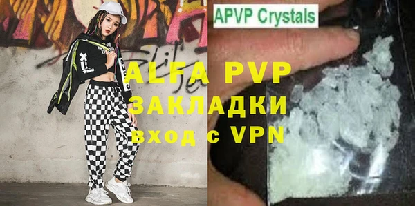 прущие грибы Куйбышев