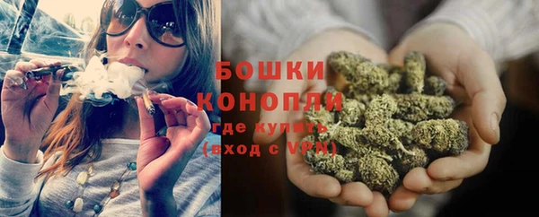 прущие грибы Куйбышев